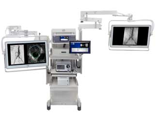 MDS_0233C-vascular-system-300-split